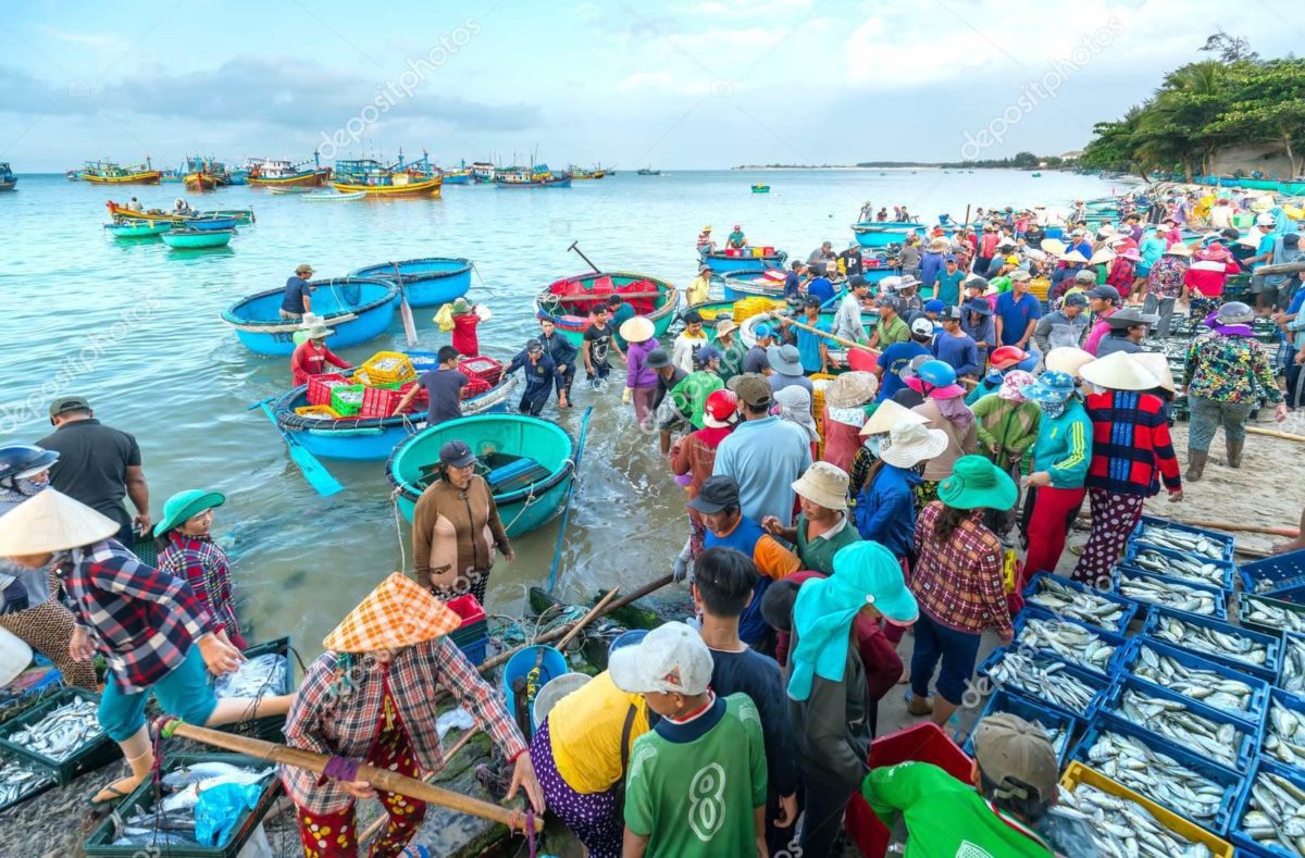 vietnam_fish_market