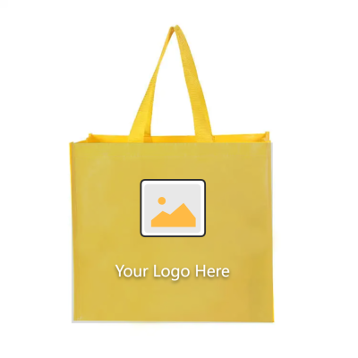 Non woven bag (1)